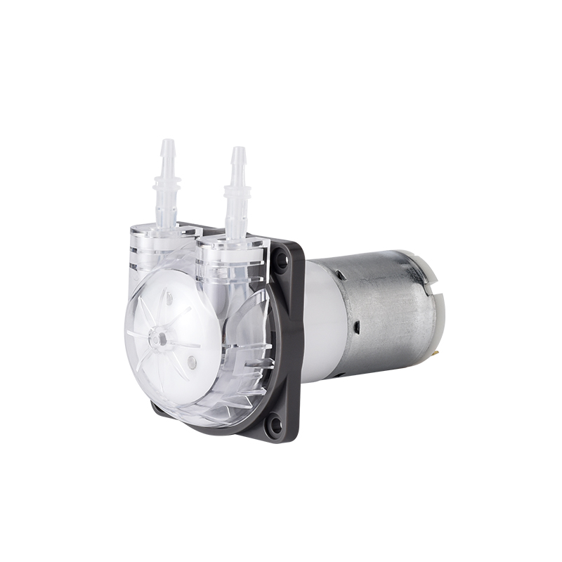 Bomba Peristáltica Micro PENGP - Mini Peristaltic Pump 12V reseña y precio